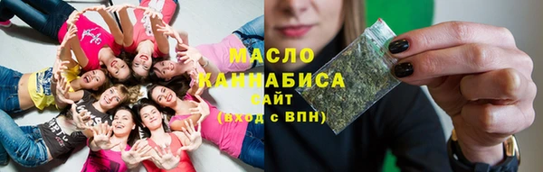 молекула духа Богородицк