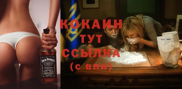 молекула духа Богородицк