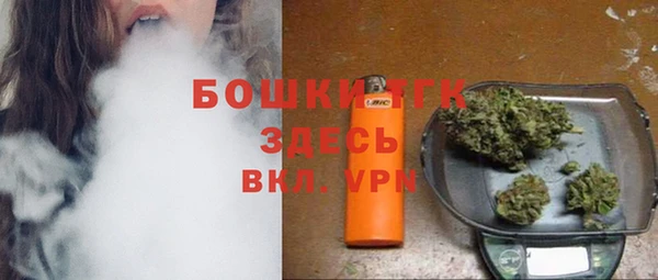 молекула духа Богородицк