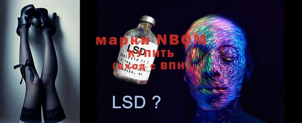прущий лед Богданович