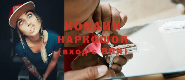 гидра Бородино