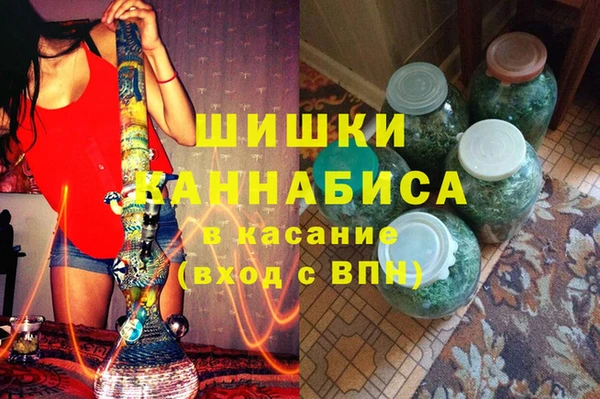 молекула духа Богородицк