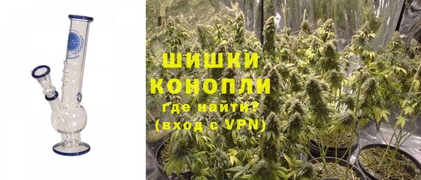шишки Бронницы