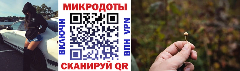 Псилоцибиновые грибы мухоморы  Комсомольск 